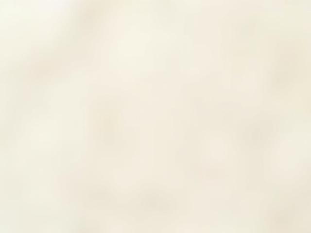 オーガニックヘンプキャンバス生地